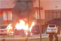 多地爆發“打倒特斯拉”活動！馬斯克：DOGE讓我付出了巨大代價
